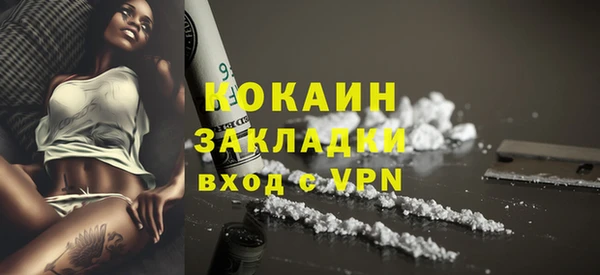 соль курить ск Каменка