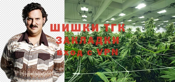соль курить ск Каменка