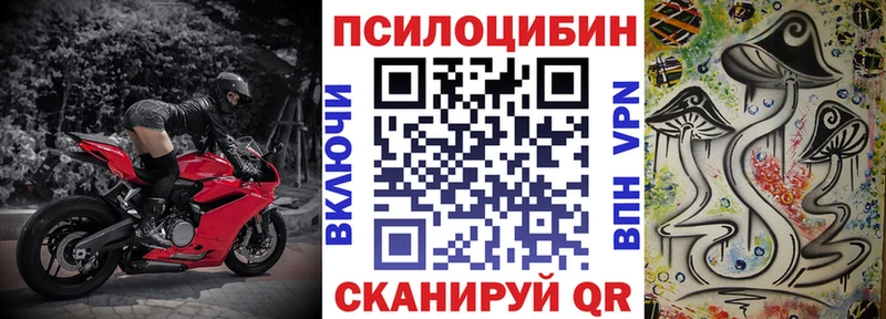Псилоцибиновые грибы мицелий  Купить где  Новая Ладога 