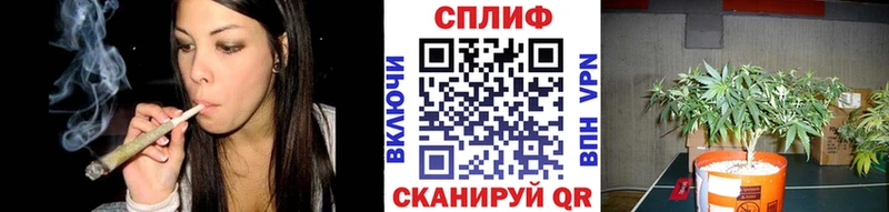 Купить где  Новая Ладога  Бошки марихуана VHQ 